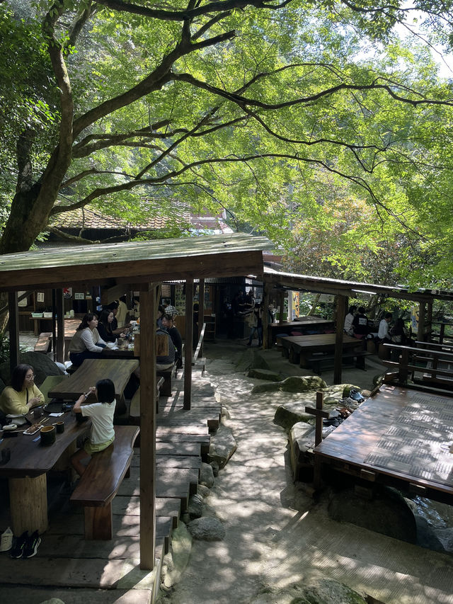 【福岡】森の中でランチ🌳🇯🇵