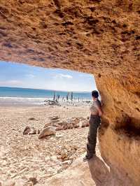 South Australia Road Trip: Sydney to SA🚗🏝️   