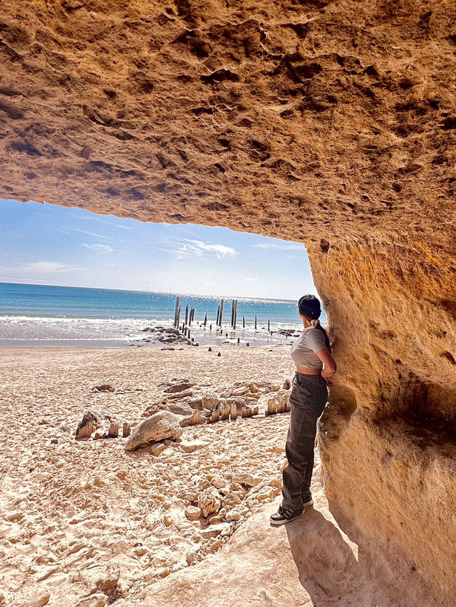 South Australia Road Trip: Sydney to SA🚗🏝️   