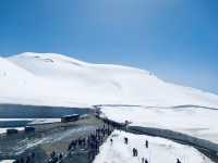 กำแพงหิมะสุดอลังการ Tateyama Kurobe Alpine Route