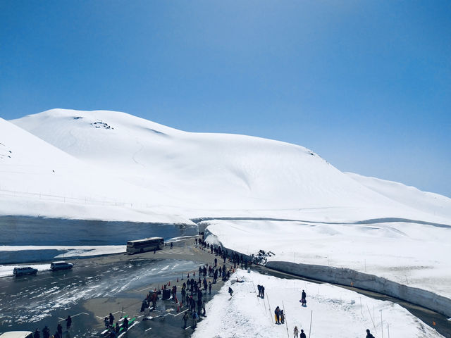 กำแพงหิมะสุดอลังการ Tateyama Kurobe Alpine Route