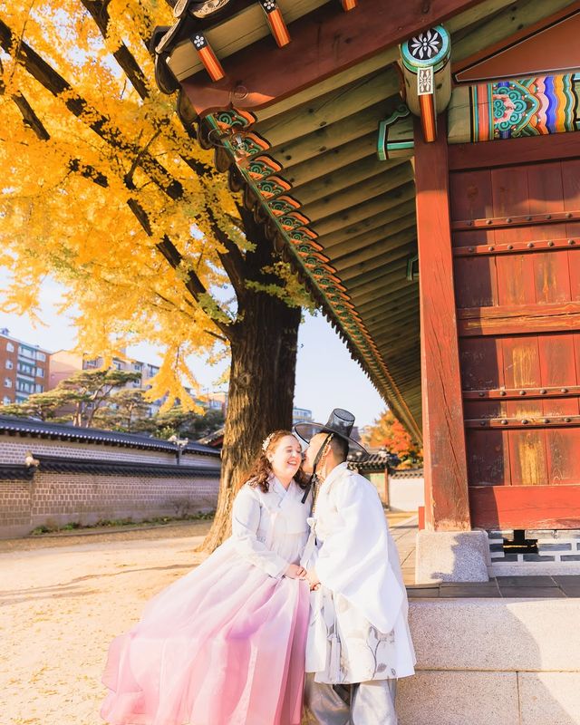 景福宮銀杏季節+黃昏時間=韓劇劇照