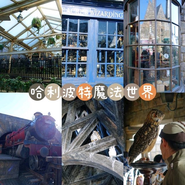 大阪必去玩樂之旅😎