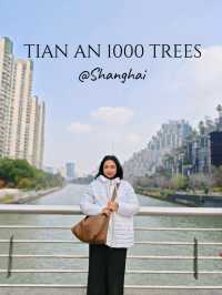 Tian An 1000 Trees @ Shanghai