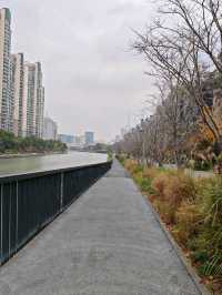 Tian An 1000 Trees @ Shanghai