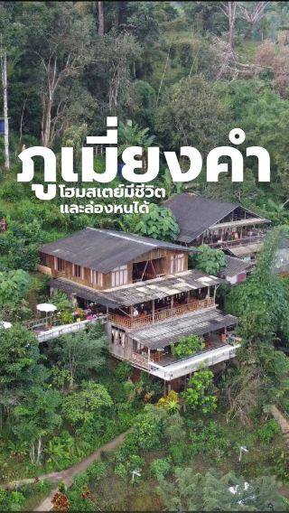 ภูเมี่ยงคำ โฮมสเตย์สำหรับหนีชีวิตที่ห่วยแตก