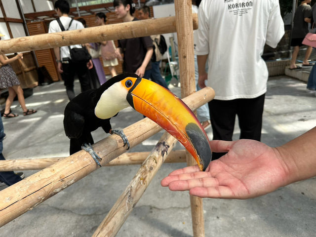【掛川花鳥園】