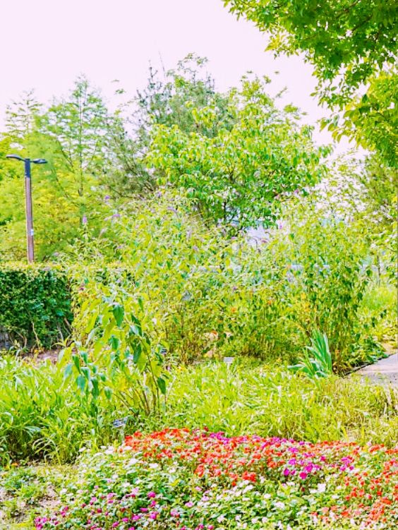 Guro Pureun Arboretum Review