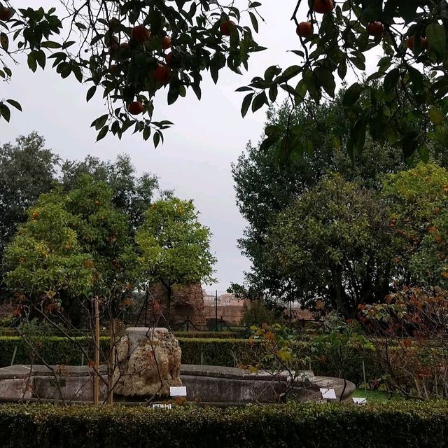 Palatine Hill