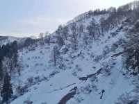 GALA Yuzawa เล่นหิมะใกล้โตเกียว 