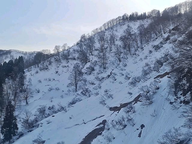 GALA Yuzawa เล่นหิมะใกล้โตเกียว 