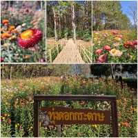 เที่ยวอุทยานภูหินร่องกล้า ในเวลา 2 วัน 1 คืน