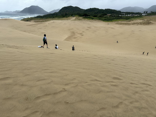 📸🩷鳥取県の映えスポット巡り – 鮮やかな景色とユニークな体験を楽しむ旅