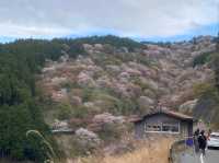 Mount Yoshino, Nara