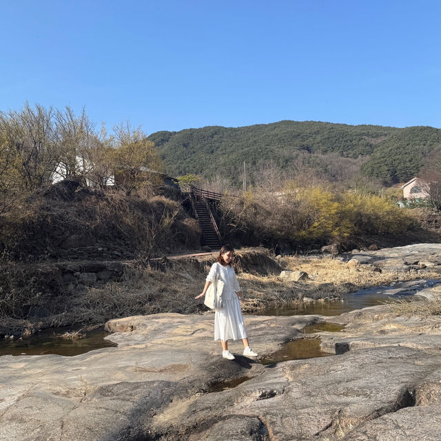 구례 산수유마을 봄꽃 여행