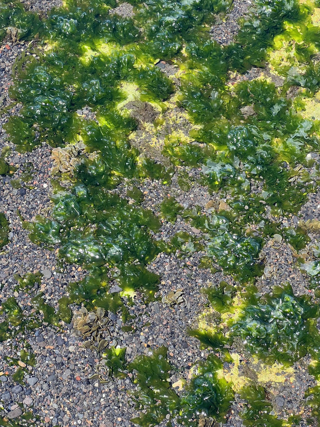 Black sand beach , Bali