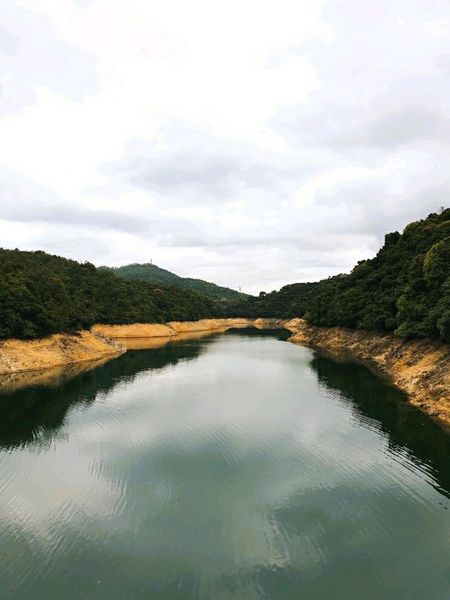 🐒 버스에서 내리면 원숭이를 볼 수 있는 산, 홍콩 깜산 