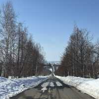 7 Days in Sapporo