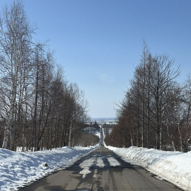 7 Days in Sapporo