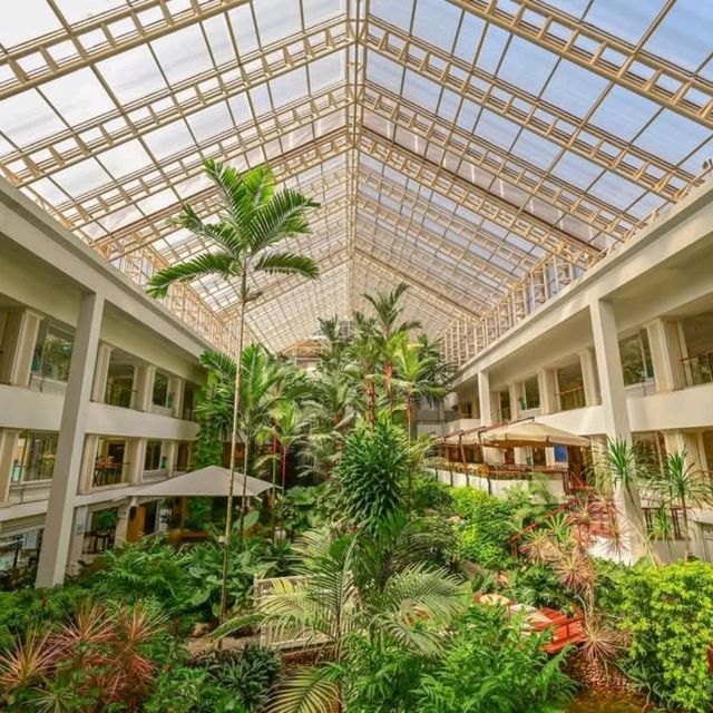 Dusit Thani Pattaya