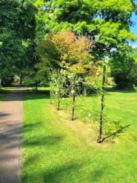 Botanical Gardens