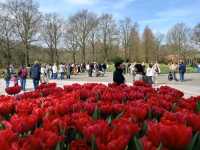 "Keukenhof: The World’s Most Beautiful Spring Garden in the Netherlands"