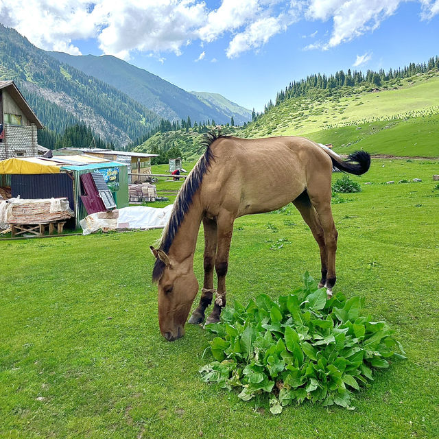알틴아라샨에서 해봐야 하는 승마체험 🐴