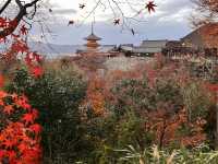 Discovering the Magic of Kiyomizu-dera ✨ | Kyoto’s Must-Visit Spot for Every Young Explorer