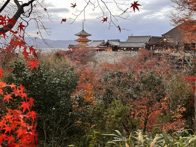 Discovering the Magic of Kiyomizu-dera ✨ | Kyoto’s Must-Visit Spot for Every Young Explorer