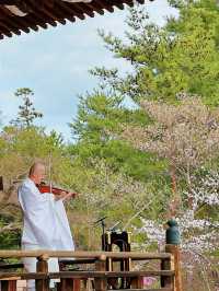 心がふわりとほどける時間。任和寺で出会うバイオリンと仏の響き