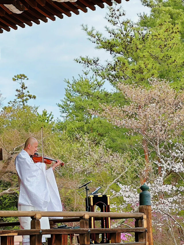 心がふわりとほどける時間。任和寺で出会うバイオリンと仏の響き