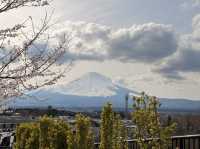 東京追櫻河口湖追富士山