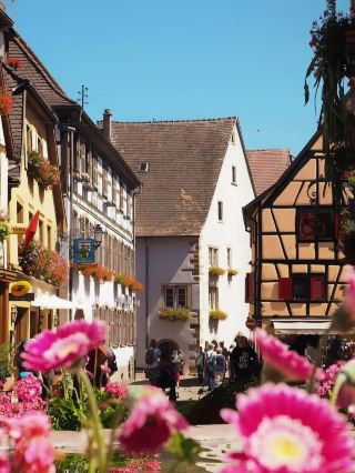 A Village Like Walking Through a Fairy Tale｜Eguisheim, France