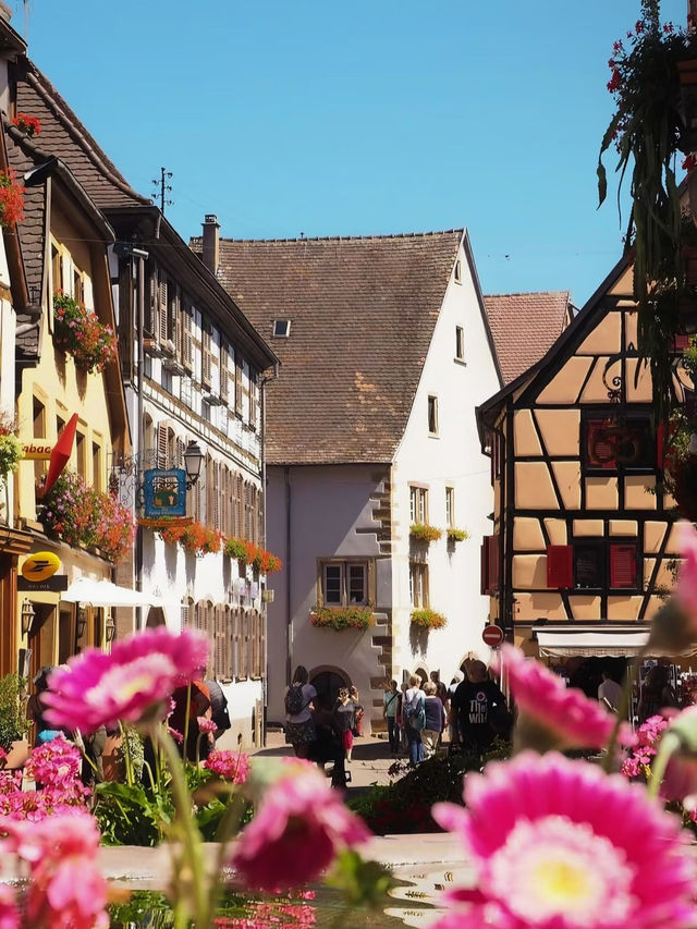おとぎ話の中をお散歩するような村｜フランス・エギスハイム Eguisheim