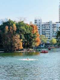 Liwan Lake Park-A Living Portrait of Old Guangzhou