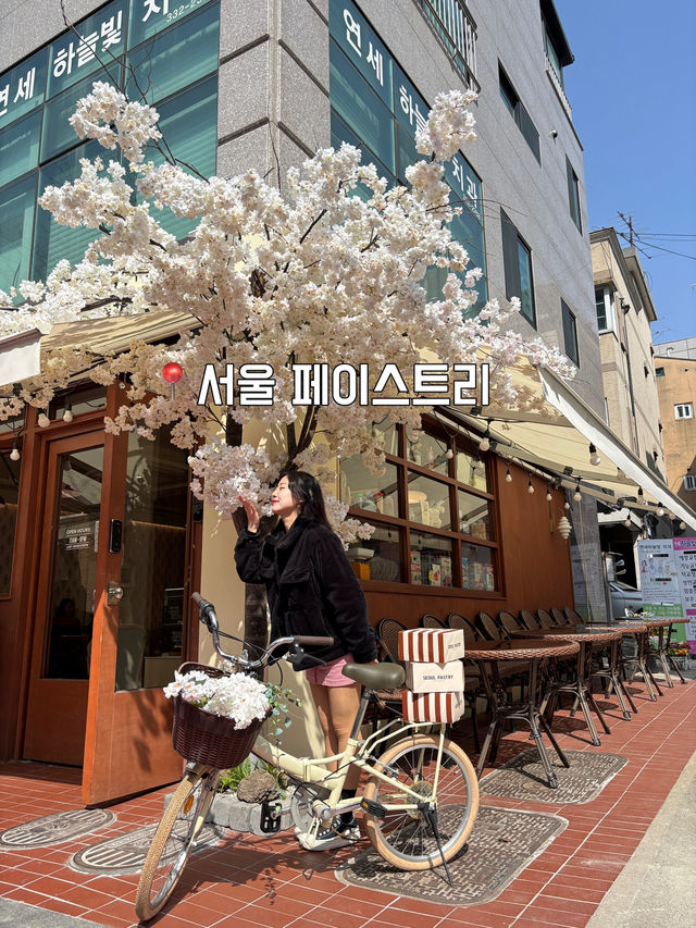 벚꽃 만개했다!