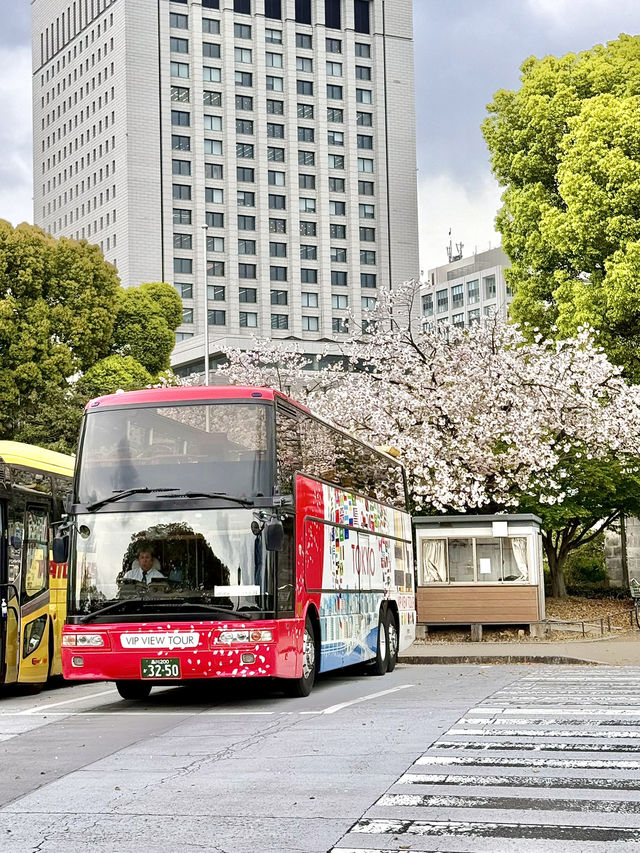 Spring Stroll at Kokyo-mae Plaza
