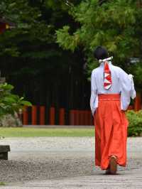 熊野速玉大社でパワーチャージ⛩️自然と信仰の交差点