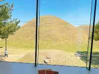 경주 OAR MUSEUM~카페와 미술관이 함께 있는 멋진 공간