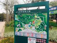 🏞️澳門隱藏版親子祕境！石排灣郊野公園一日遊攻略🐼