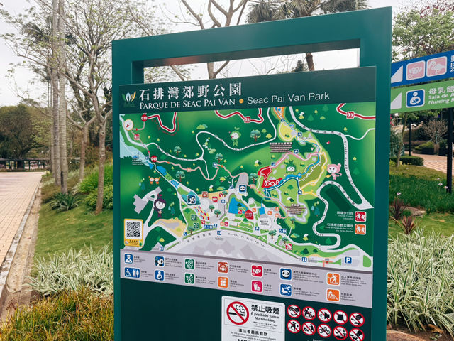 🏞️澳門隱藏版親子祕境！石排灣郊野公園一日遊攻略🐼