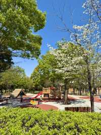 Spring Blossoms & Art Walks at Kiba Park🌷