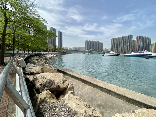 享受陽光溫暖與自然之美☀️🌱荃灣海濱公園✨🌊