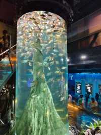 “Aquaria KLCC — Dive Into an Underwater World in the Heart of Kuala Lumpur”