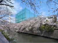 Meguro River