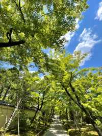 【京都】青紅葉、苔の緑、空、水の流れに魅了される素晴らしい空間