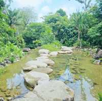 Into the Wild: A Stroll Through Rainforest Wild Asia 🇸🇬
