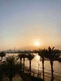 Skyline in Bloom: Dubai’s Dreamiest Sunset Spot