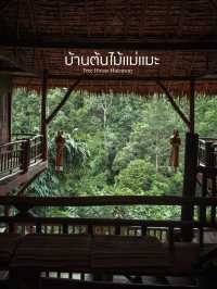 บ้านต้นไม้แม่แมะ โฮมสเตย์กลางป่าราคาหลักร้อย 🌲🛖🪵