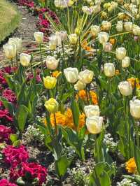 🇬🇧 London’s Secret Garden｜Guildford One-Day Trip